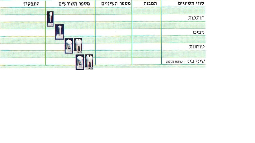 טבלה